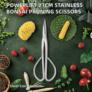 Powerlift GT023 Silver Steel 21cm Integrated Pruning Scissors Tender Leaf Bud Cutting Flower Bonsai Tools By <b>Blush</b> Surgical - Product Image 2