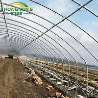 Invernadero Tipo Túnel de Gran Tamaño y Bajo Costo, Personalizable, con Lámina Arqueada de PE para Cultivo Continuo de Frutas y Verduras
