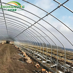<span class=keywords><strong>Invernadero</strong></span> Tipo Túnel de Gran Tamaño y Bajo Costo, Personalizable, con Lámina Arqueada de PE para Cultivo Continuo de Frutas y Verduras - Product Image 3