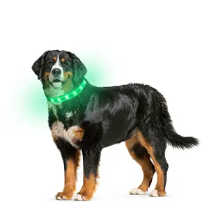 USB Glowing Reflective LED gem Light Dog Collar for walk the dog at night
