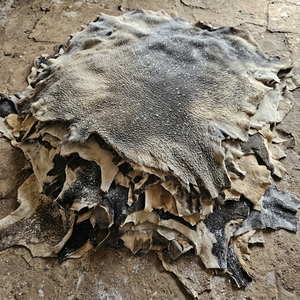 Peaux de vache et peaux de buffle lourdes, de qualité supérieure, écaillées à la machine et salées à l'eau, pour articles en cuir de haute qualité - Product Image 3