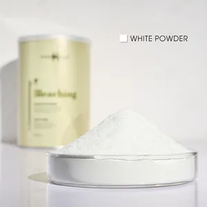 Private Label Low Ammonia Free Organic Bleach Powder For Hair Color Dye Lightener
