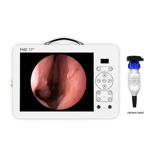 Hot sale Nasal endoscopy cost shrek new product portable full hd camera endoscope 17"