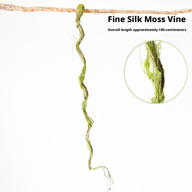 8#  Filament Moss Vine