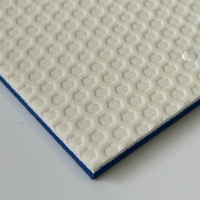 Suelo Deportivo Interior Multifuncional de PVC de Alta Calidad TG, 4.6 mm de Grosor, Antideslizante, Absorción de Impactos, Ecológico, Antibacteriano, Fácil de Instalar