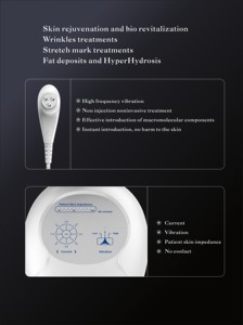 Sistema de Cuidado de la Piel con Electroporación BECO DEP2 para Rejuvenecimiento, Reducción de Arrugas y Control del Dolor - Product Image 4