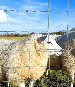 Clôture de ferme galvanisée à chaud pour chevaux, moutons et bovins, hauteur <span class=keywords><strong>1</strong></span>/<span class=keywords><strong>1</strong></span>,2/<span class=keywords><strong>1</strong></span>,5/<span class=keywords><strong>1</strong></span>,8 <span class=keywords><strong>m</strong></span>, fabriquée en Chine - Product Image 1