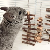 Petits bâtonnets à mâcher en bois en forme de branche de pomme, balles/gâteaux en herbe, jouets interactifs pour usage quotidien intérieur/extérieur pour hamsters et lapins