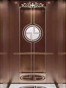 Ascenseur résidentiel à vente chaude, ascenseur pour passagers, moderne, sûr, facile à utiliser, pour la maison - Product Image 6