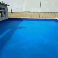 Vente en gros de peinture imperméable CABERRY, revêtement en silicone pour béton, revêtement de toiture