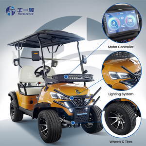 Voiturette de golf électrique 2 places très vendue, de haute qualité, avec batterie 48V, buggy touristique économique - Product Image 4