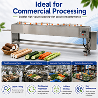Automatische wortelschiller, commerciële machine voor het verwijderen van groenteschillen voor de verwerking van wortelen, daikon, yam en komkommer.