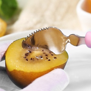 Cuillères à <span class=keywords><strong>pamplemousse</strong></span> avec bords dentelés, cuillère à gratter, acier inoxydable 304 de bonne qualité, alimentation des bébés en fruits - Product Image 4
