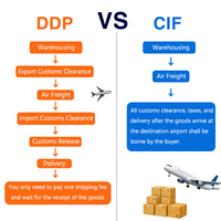 China nach Barcelona El Prat Flughafen Spanien Flughafen-zu-Flughafen CIF DDP Tür-zu-Tür Luftfracht-Spediteur 7x24 Logistik