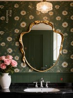 Miroir de salle de bain mural en bois de style rétro européen, forme extraterrestre, avec lampe LED tactile, miroir de maquillage pour entrée