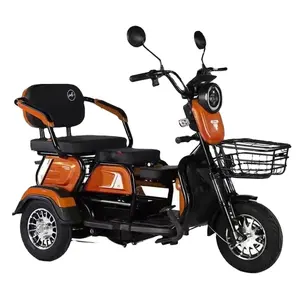 3-Wheel Adult Cargo Electric Bike 48V 500W With Integrated Battery Steel Frame Electric Tricycle With Basket