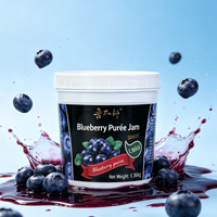 Selai Puree Blueberry Rasa Asli Kaya Rasa dari Pabrik Lotlong untuk Produksi Kue & Minuman Komersial