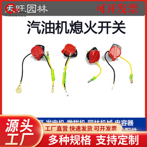 Interruptor de Apagado de Doble Cable para Motor de Gasolina 168F170, 12V SPST, Plástico, Uso Industrial - Product Image 5