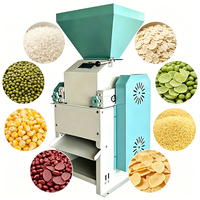 Machine à floquer les céréales en petite série 450 kg/h avec moteur multifonctionnel, faible MOQ pour les startups agroalimentaires de R&D en Asie du Sud-Est, certifiée CE, pour le riz