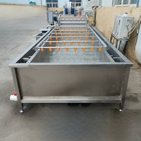 Industriële bubbelgroentewasmachine van roestvrij staal, automatische fruit- en groentewasser voor voedselverwerkingsbedrijven