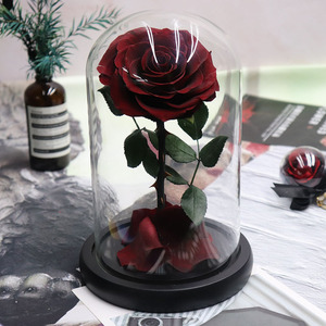 Fleurs éternelles conservées sous dôme en verre, 7/lot, fausses Roses - Product Image 2