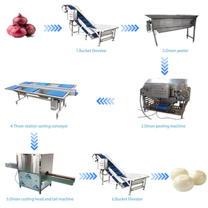 Les machines de traitement des oignons peuvent assurer un fonctionnement en flux continu, pouvant être coordonnées avec les lignes de machines à peler et de nettoyer les oignons. - Product Image 4