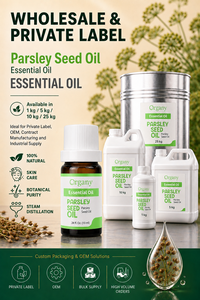 Huile Essentielle de Persil Turc 100% Pure (Petroselinum Crispum) Distillée à la Vapeur – Vente en Gros, Marque Privée, OEM pour la Parfumerie - Product Image 2