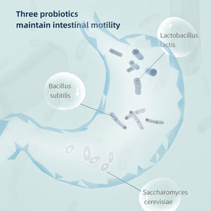 OEM מקבלים כל מכירה valu חבילה טבע תבואה משלוח הגנת לב בצורה מיוחד טעם למבוגרים יבש כלב מזון - Product Image 4
