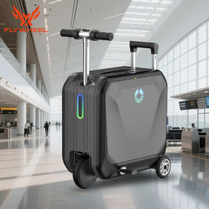 Maleta Eléctrica Plegable con Capacidad de Carga de 150 kg, Precio de Fábrica - Product Image 1