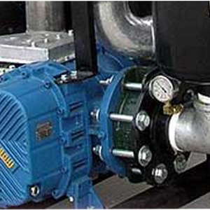 ปั๊มสุญญากาศ Robuschi Rb-Dv 10500 ลูกบาศก์เมตร/ชั่วโมง เครื่องอัดอากาศอุตสาหกรรมเหล็กหล่อ - Product Image 3