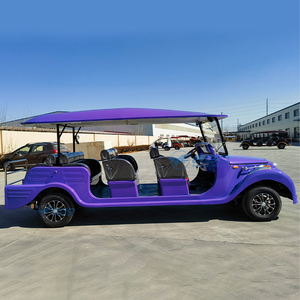 CE phê duyệt 11 hành khách tinh khiết điện cổ điển xe hiệu suất cao năng lượng mới du lịch tham quan xe cổ điển - Product Image 4