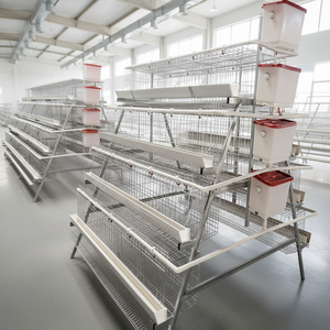 Cage à poulets économique pour élevage intensif, facile à nettoyer, pour poussins d'un jour, pour le Tamil Nadu - Product Image 6