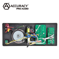 Module d'amplificateur de puissance pour haut-parleur actif Accuracy Pro Audio 15AEH 15 pouces