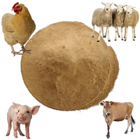 Poudre d'additifs nutritionnels spécialisés à base de levure sélénée pour l'alimentation des animaux, volailles, bétail, aquaculture, poulets, porcs, bovins, moutons