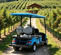 Carrito de Golf A617.4+2 para 6 Pasajeros con Techo Impermeable e Interior Espacioso