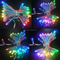 Lot de 50 modules d'éclairage LED couleur DC 5V, entrée WS2811, Pixel de 12mm, étanchéité IP68, couleur rvb 1903IC, lumière de noël numérique LED