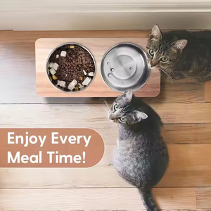Vente chaude de haute qualité Original solide Double <span class=keywords><strong>Anti</strong></span>-<span class=keywords><strong>vomissement</strong></span> distributeur d'alimentation surélevé en acier inoxydable <span class=keywords><strong>bol</strong></span> pour <span class=keywords><strong>chat</strong></span> de compagnie - Product Image 3