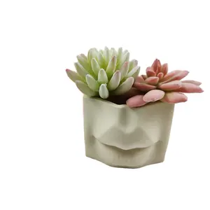 New lip cup storage box silicone mold DIY gypsum resin succulent plant pot cement mold