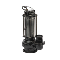 Pompe à eau submersible personnalisée série Q(D)X de 3 pouces, 220 V, pour l'extraction d'eau de puits et l'irrigation agricole