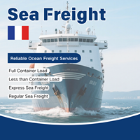 Meilleur agent maritime chinois, transitaire maritime vers la France et la Belgique depuis la Chine, service de dropshipping DDP
