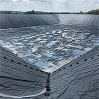 Geomembrana de HDPE, Revestimiento Impermeable, Ahorra Costos en Proyectos, Reduce Fugas y Pérdidas, Bajo Mantenimiento, para Vertederos y Minería