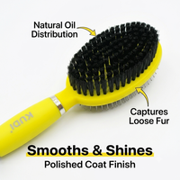 Brosse de toilettage pour animaux de compagnie à poils lisses et à poils rigides, avec poignée en silicone double face, pour chiens et chats