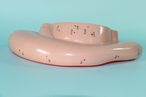 Modelo de Acupuntura de Oído, Modelo de Puntos de Acupuntura Chinos, Oído de 22 cm con Puntos de Acupuntura, Modelo de Enseñanza de Medicina - Product Image 3