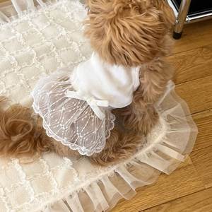 Toptan yaz nefes köpek elbise soğutma Pet kedi etek dantel tasarım moda küçük köpek giyim bahar sezonu için - Product Image 3