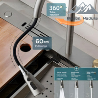 Évier de cuisine Wayon Nano Grey en acier inoxydable avec affichage numérique et robinet cascade