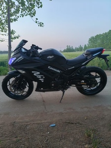 Motocicleta Kawasaki Ninja Kid Nikka <span class=keywords><strong>de</strong></span> <span class=keywords><strong>Segunda</strong></span> <span class=keywords><strong>Mano</strong></span>, Motor <span class=keywords><strong>de</strong></span> Gasolina <span class=keywords><strong>de</strong></span> 250cc, Motor <span class=keywords><strong>de</strong></span> 400cc - Product Image 5