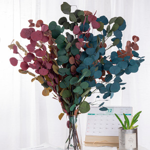 Hojas de eucalipto de manzana inmortal, hojas de eucalipto preservadas secas, flor para ducha, boda, Fiesta en casa, jarrón, decoración de relleno - Product Image 1