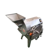 Hete Verkopende Multifunctionele Fruit-En Groentesnijmachine, Volautomatische Aardappel-En Komkommersnijmachine
