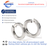 Hot Sale DIN127 Steel Factory Direct Spring Washer Spring Lock Washers BS Plain Spot Wholesale Good Quality and Low Priced