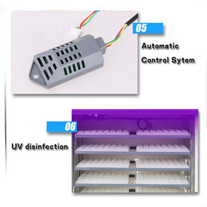 Incubateur automatique pour <span class=keywords><strong>œuf</strong></span>s <span class=keywords><strong>de</strong></span> poulet, 100 unités/lot, usine professionnelle - Product Image 6
